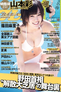 海洋之城电视剧全集在线观看免费